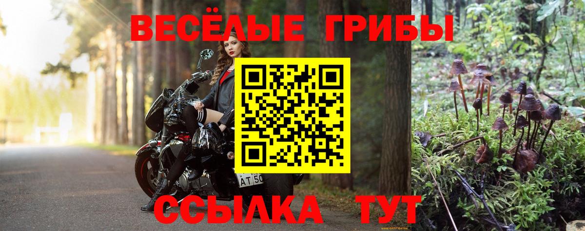 Галлюциногенные грибы прущие грибы Екатеринбург