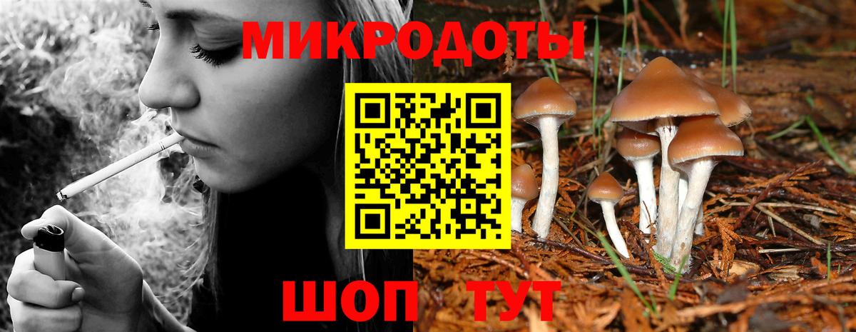 Екатеринбург  Псилоцибиновые грибы Cubensis  Галлюциногенные грибы MAGIC MUSHROOMS  Вход с VPN 